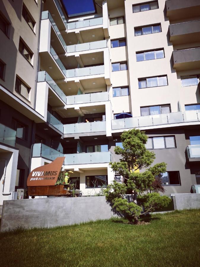 Apartment Vivamus Brasov